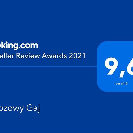 לינה וארוחת בוקר Glowczyce Brzozowy Gaj מראה חיצוני תמונה